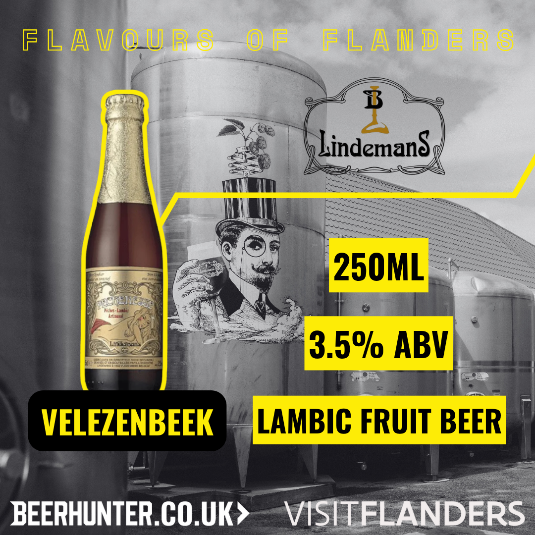 Visit Flanders Belgian Beer Discovery Case (12 Pack)