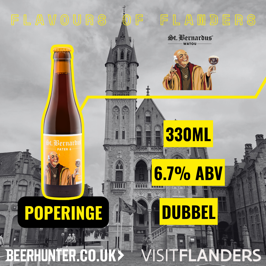 Visit Flanders Belgian Beer Discovery Case (12 Pack)