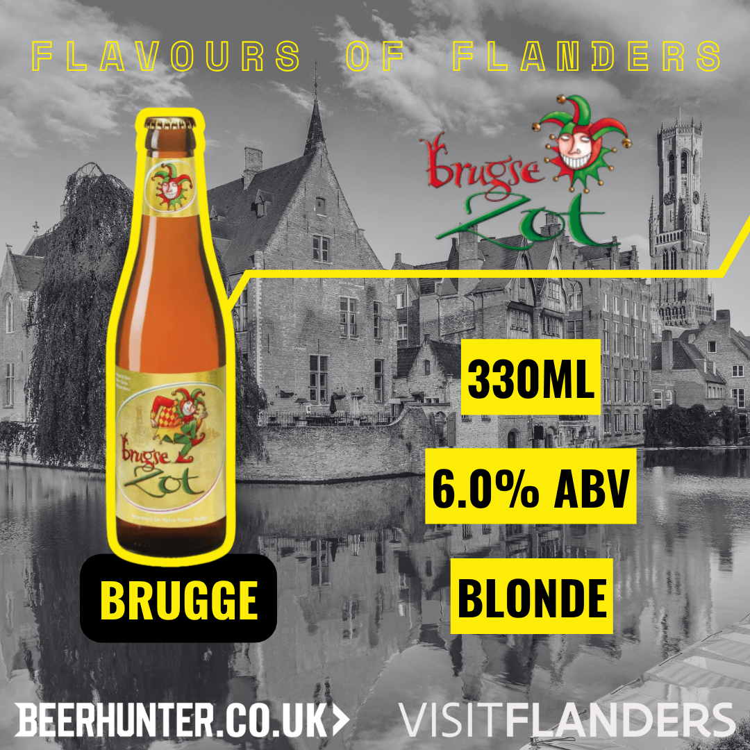 Visit Flanders Belgian Beer Discovery Case (12 Pack)