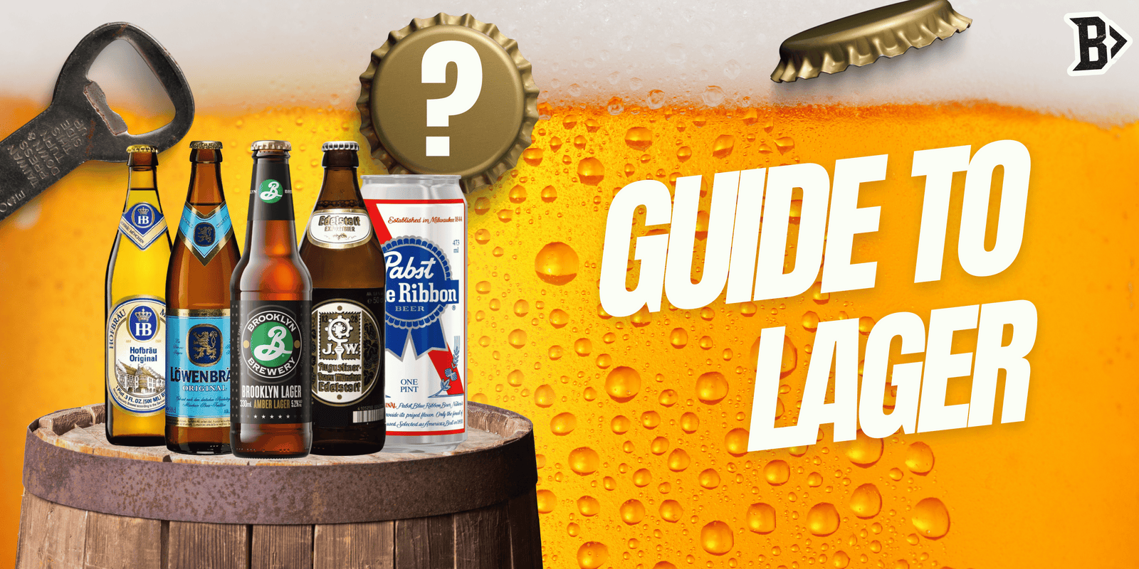 A Beer Lover’s Guide to Lagers: Styles, Flavours & Top Picks