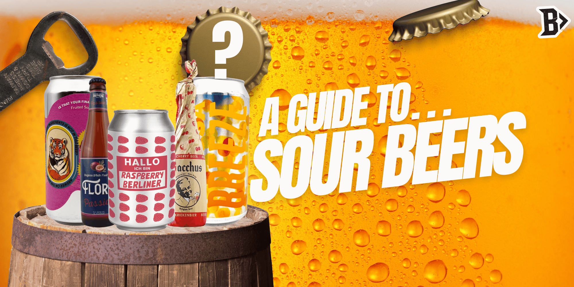 A Guide to Sour Beers: Tart, Tangy & Totally Tasty