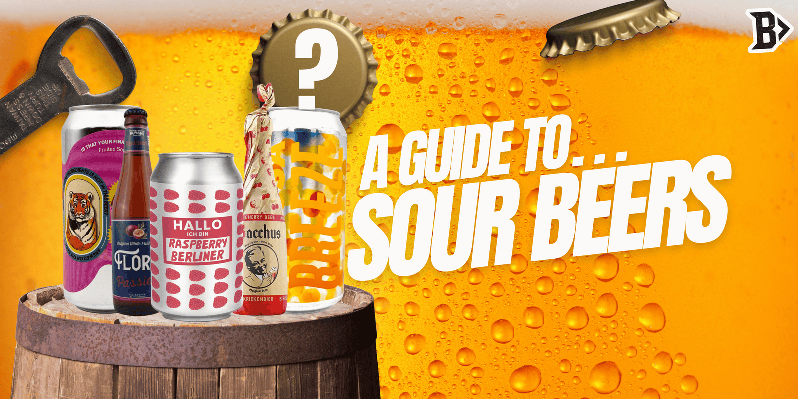 A Guide to sour beers