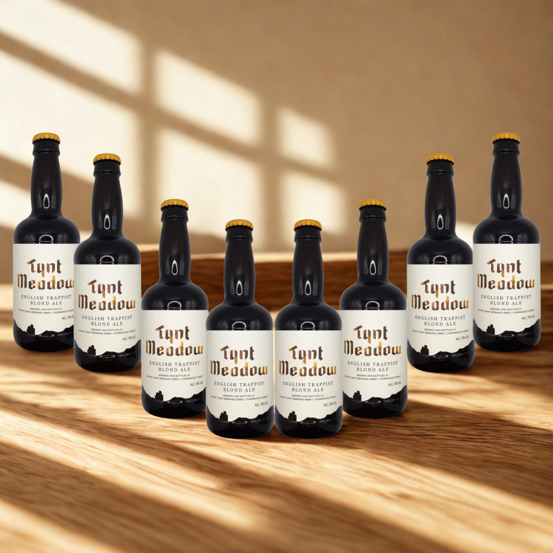 Tynt Meadow Blond British Trappist Beer 330ml Bottles- 5.0% ABV (Multipack)