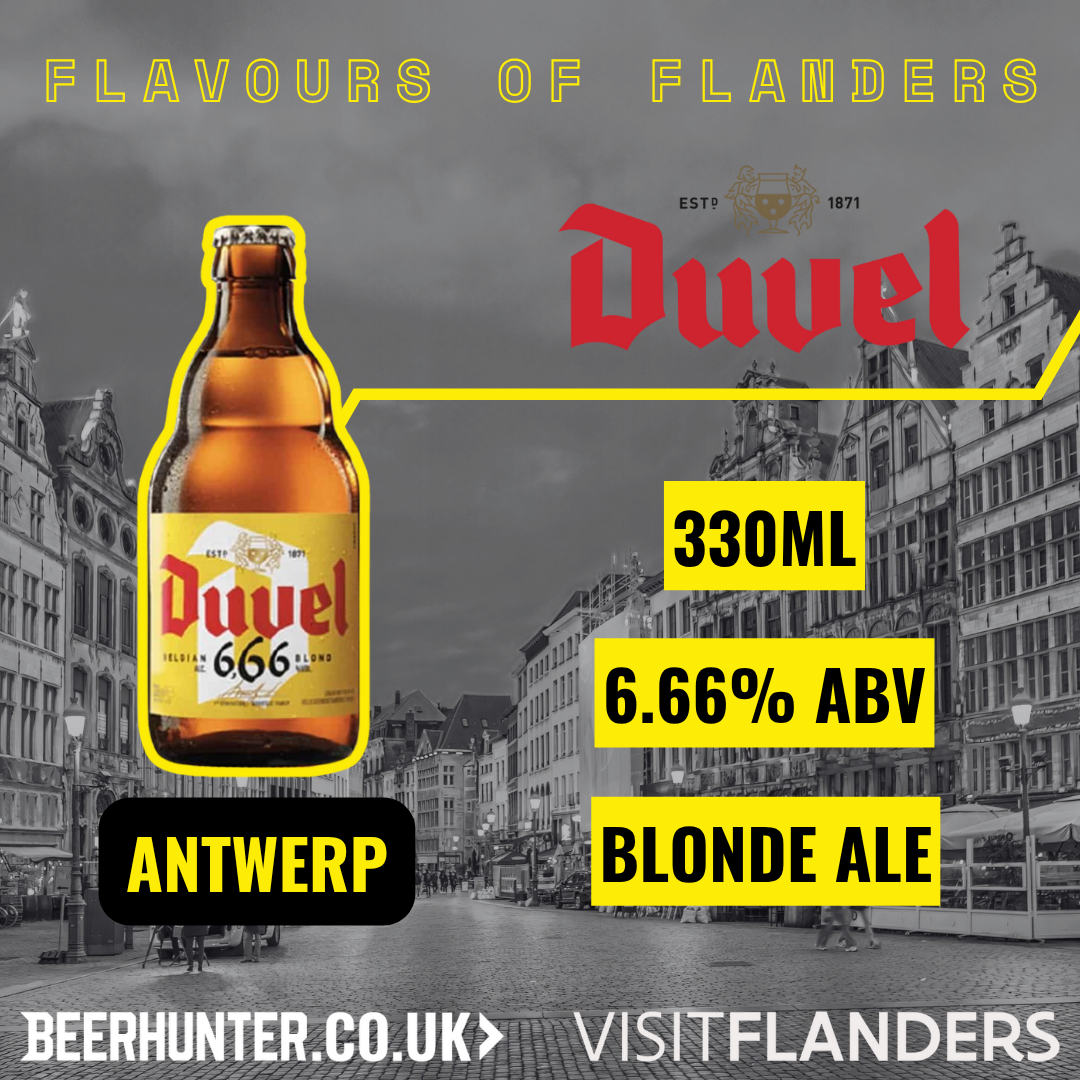 Visit Flanders Belgian Beer Discovery Case (12 Pack)