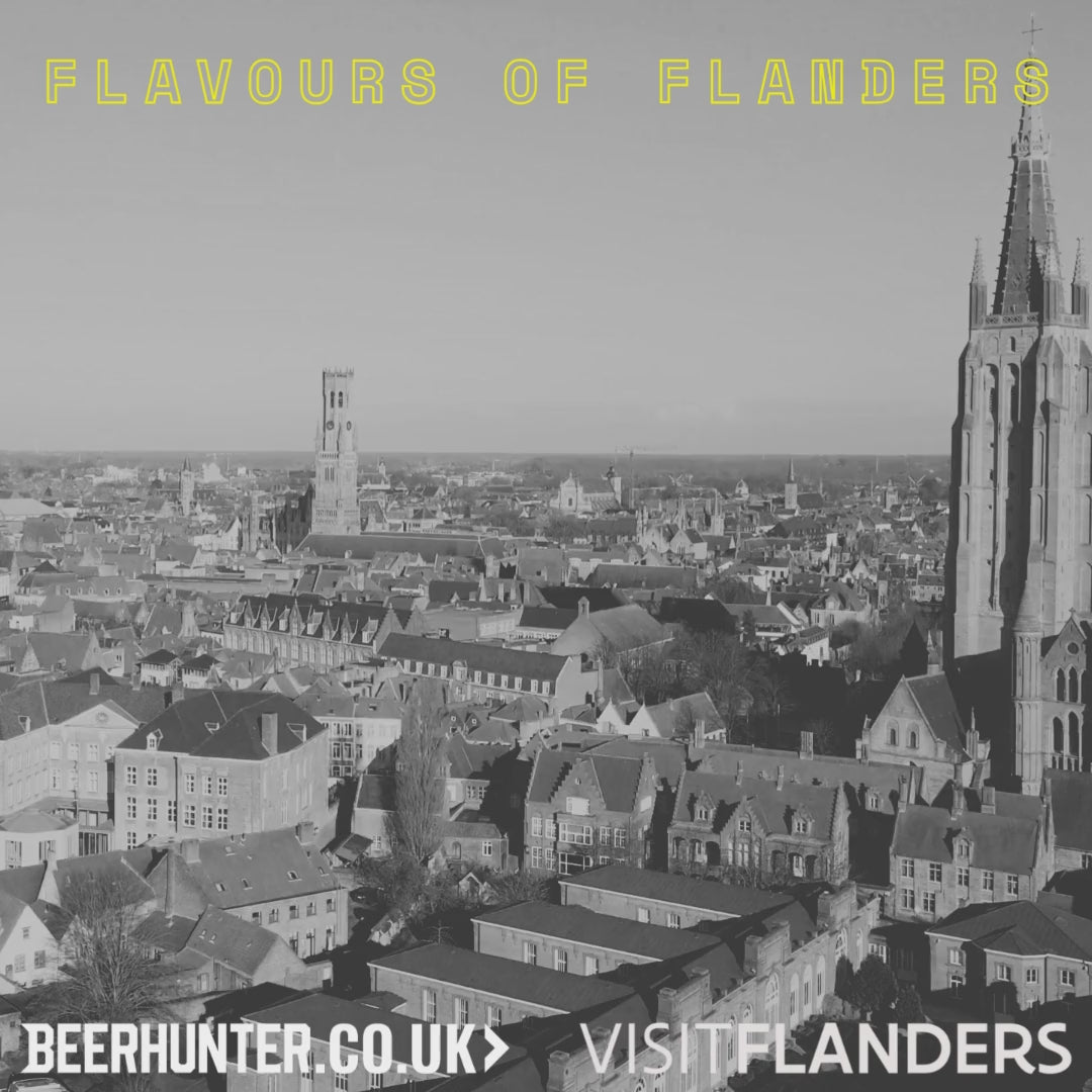 Visit Flanders Belgian Beer Discovery Case (12 Pack)